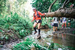 BIB: 
                            <button type="button" onclick="openModal(25513969)" class="btn btn-primary btn-sm float-right btn-popup" data-toggle="modal" data-target=".modal-high-quality">
                        <i class="fas fa-shopping-cart"></i> Add to Cart
                    </button>
                                            <button type="button" onclick="isThisMe(25513969, true)" class="btn btn-success btn-sm float-right btn-popup btn-isme hidden" data-toggle="tooltip" data-placement="bottom" title="นี่คือรูปของคุณใช่ไหม คลิกที่นี่เพื่อเอาเข้าอัลบั้ม">
                        <i class="fas fa-plus"></i> Add to album
                    </button>
                    <button type="button" onclick="isThisMe(25513969, false)" class="btn btn-warning btn-sm float-right btn-popup btn-isnotme hidden">
                        <i class="fas fa-ban"></i> Remove from album
                    </button>